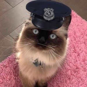 Meet your Posher, Oumayma